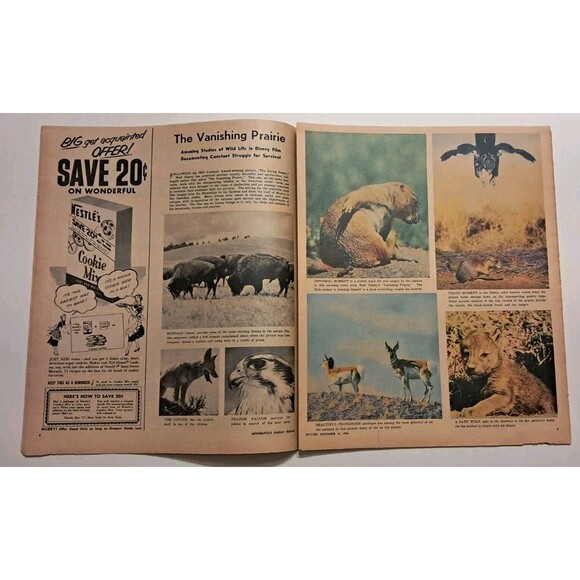 Picture Roto Magazine Minneapolis Sunday Tribune 11/14/1954 Mamie Eisenhower - Picture 3 of 10